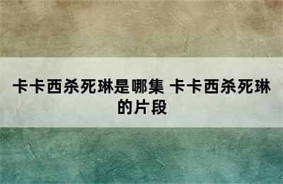 卡卡西杀死琳是哪集 卡卡西杀死琳的片段